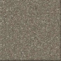 16554 Taupe