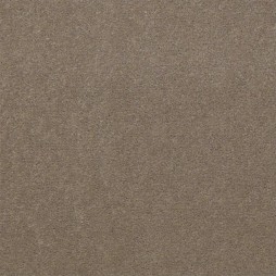 10949 Taupe