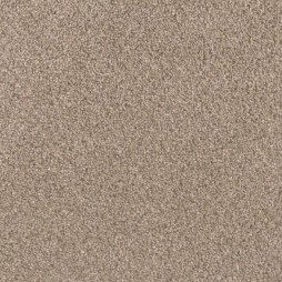 12965 Taupe