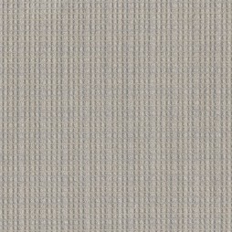 16243 Taupe