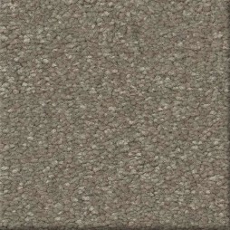 16554 Taupe