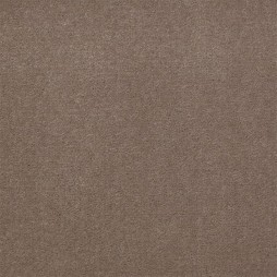 5403 Taupe