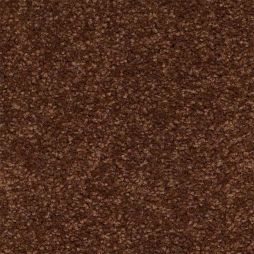 10200 Amber