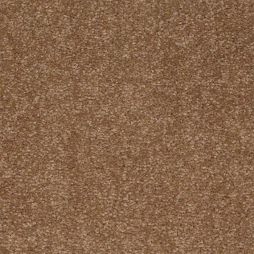 10202 Tender Tan