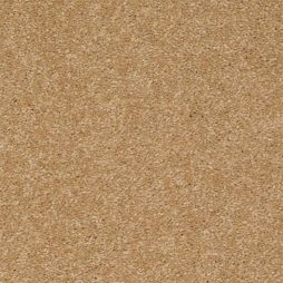 10203 Sandy Shore