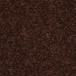 10206 Chocolate