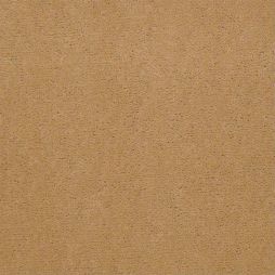 10933 Coconut Shell