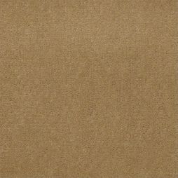 10944 Winter Wheat