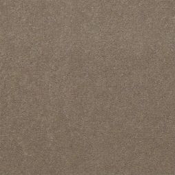 10949 Taupe