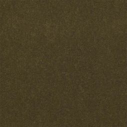 10969 Irish Spring