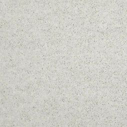 11023 Winter White