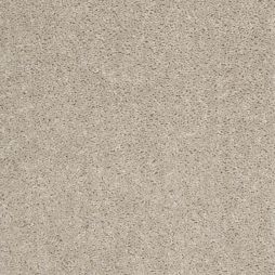 11026 Coconut Shell