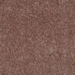 11039 Praline