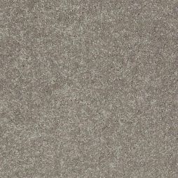 11105 Taupestone
