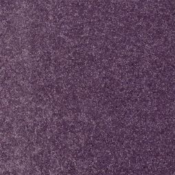 11117 Purple Passion