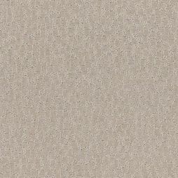 11407 Sand Dollar
