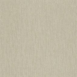 11416 Sand Dollar