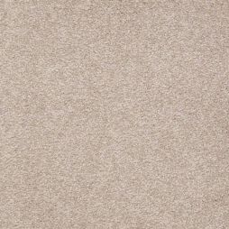 12102 Sand Swept