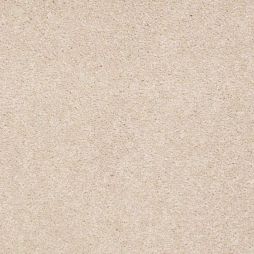 12103 Canvas