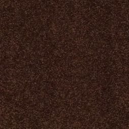 12134 Espresso