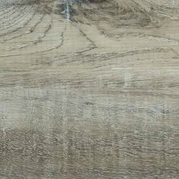 Full View Plank