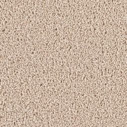 12703 Sandpiper