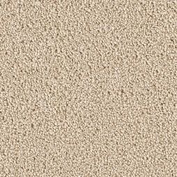 12703 Sandpiper