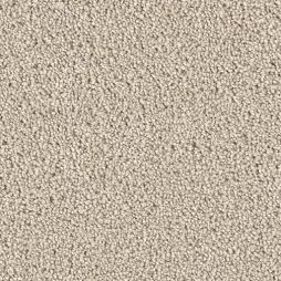 12703 Sandpiper