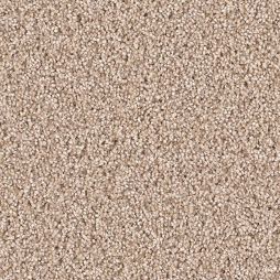 12713 Pebble Stone
