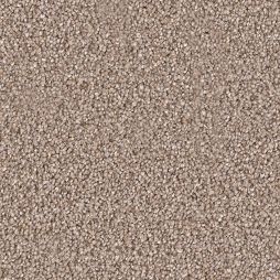 12716 Silver Beige