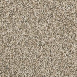 12894 Sand Swept
