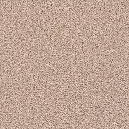 12925 Canvas
