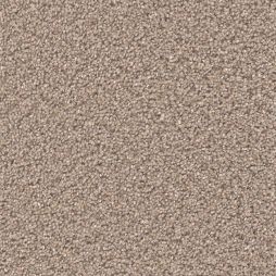 12929 Taupe