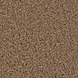 12936 Brushed Suede