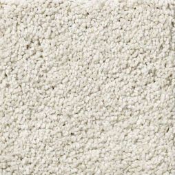 13387 Parchment