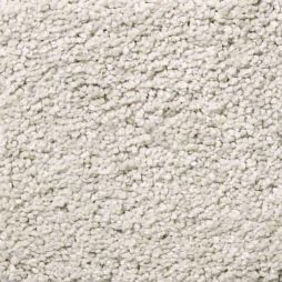 13389 Angora