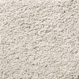13389 Angora