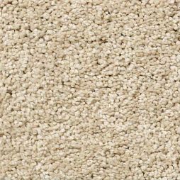 13395 Oatmeal
