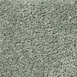 13400 Eucalyptus