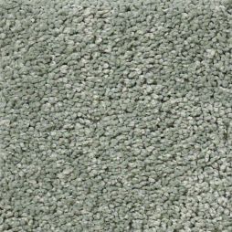 13400 Eucalyptus