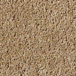 13405 Summer Wheat