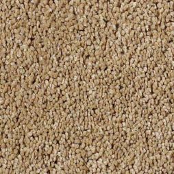 13405 Summer Wheat