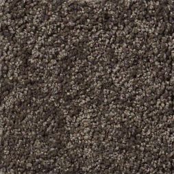 13432 Dark Roast