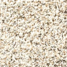13534 Oyster Shell