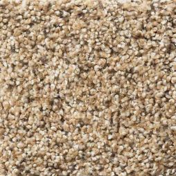 13538 Cornsilk