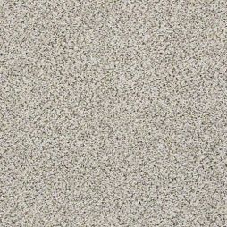 13631 Cashmere