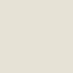 13721 Sand Dollar