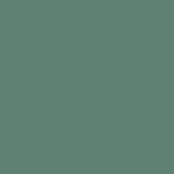 13739 Shamrock