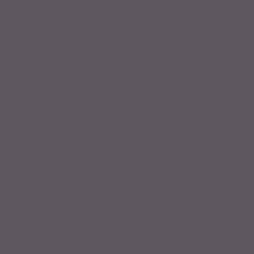 13746 Pewter