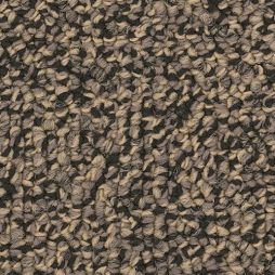 13886 Over Time – Light Tan / Gold with Taupe and Black Patterning

Light tan and gold Champion Gym Carpet with taupe and black textured patterning, engineered for quiet, durable gym flooring in schools, churches, and rec centers.